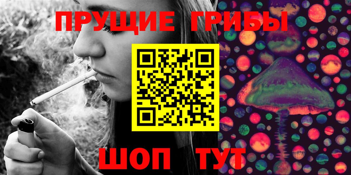 Галлюциногенные грибы Cubensis Грозный
